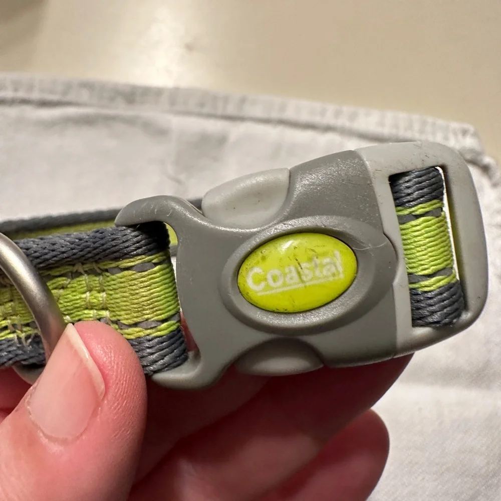 Coastal Dog Collar Small Bright Yellow Green